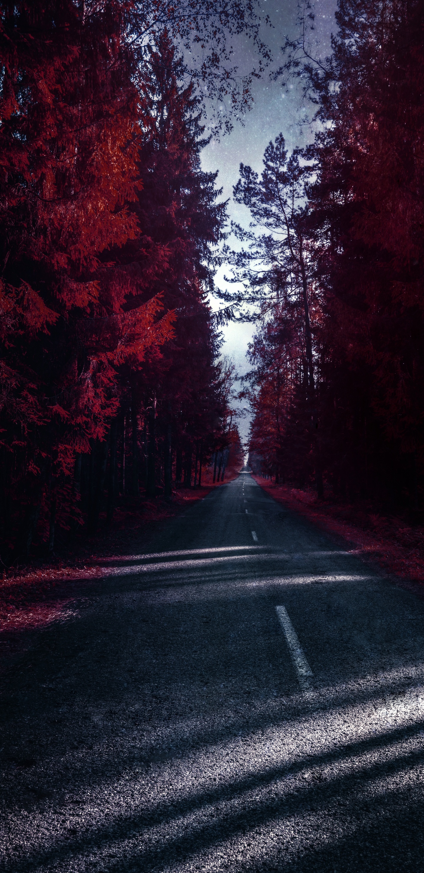 Обои природа, пейзаж, висгун - социальная сеть, автомобильное освещение, облако в разрешении 1440x2960