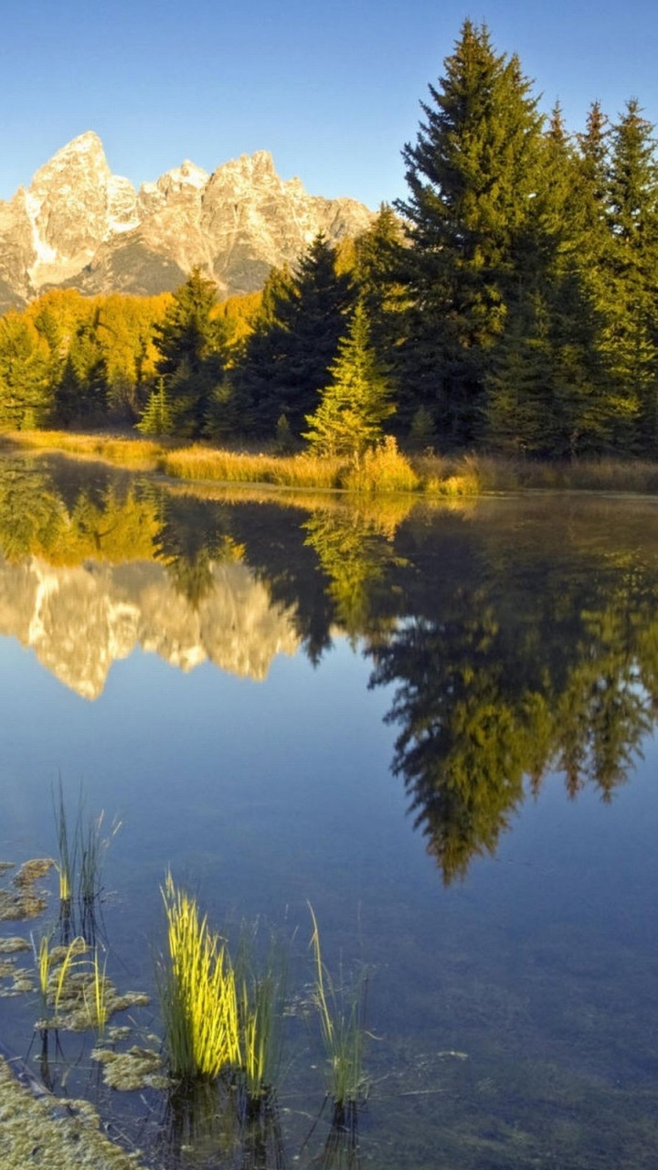 Обои отражение, природа, вода, дикая местность, природный заповедник в разрешении 720x1280