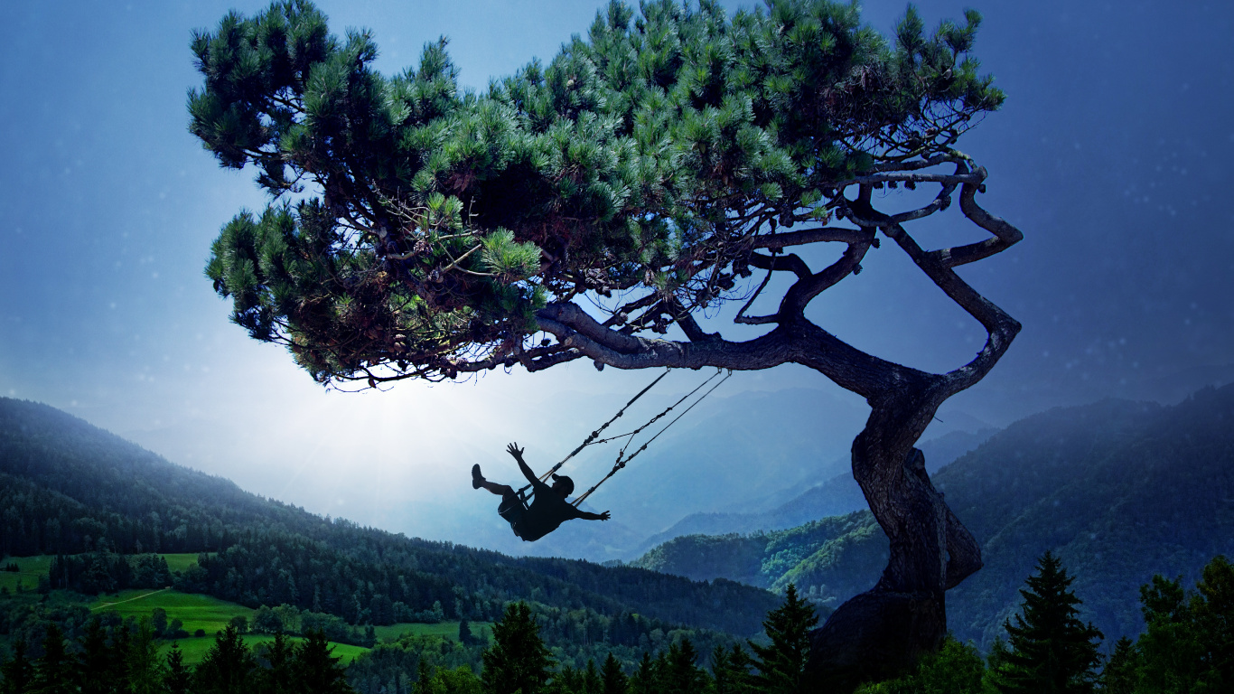 Обои дерево, природа, растительность, древесные растения, растение в разрешении 1366x768