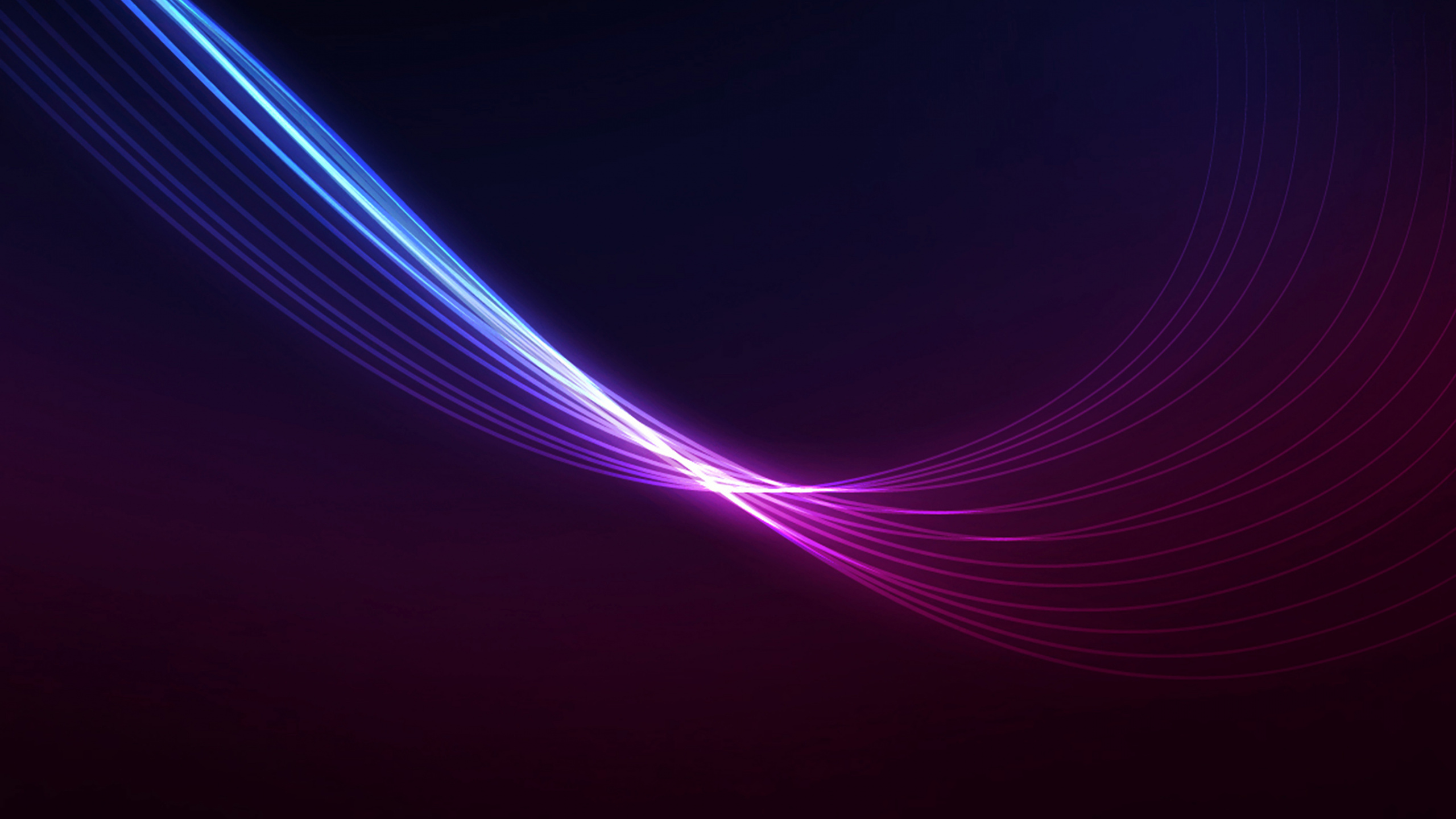 Обои синий, Фиолетовый, пурпур, свет, линия в разрешении 2560x1440