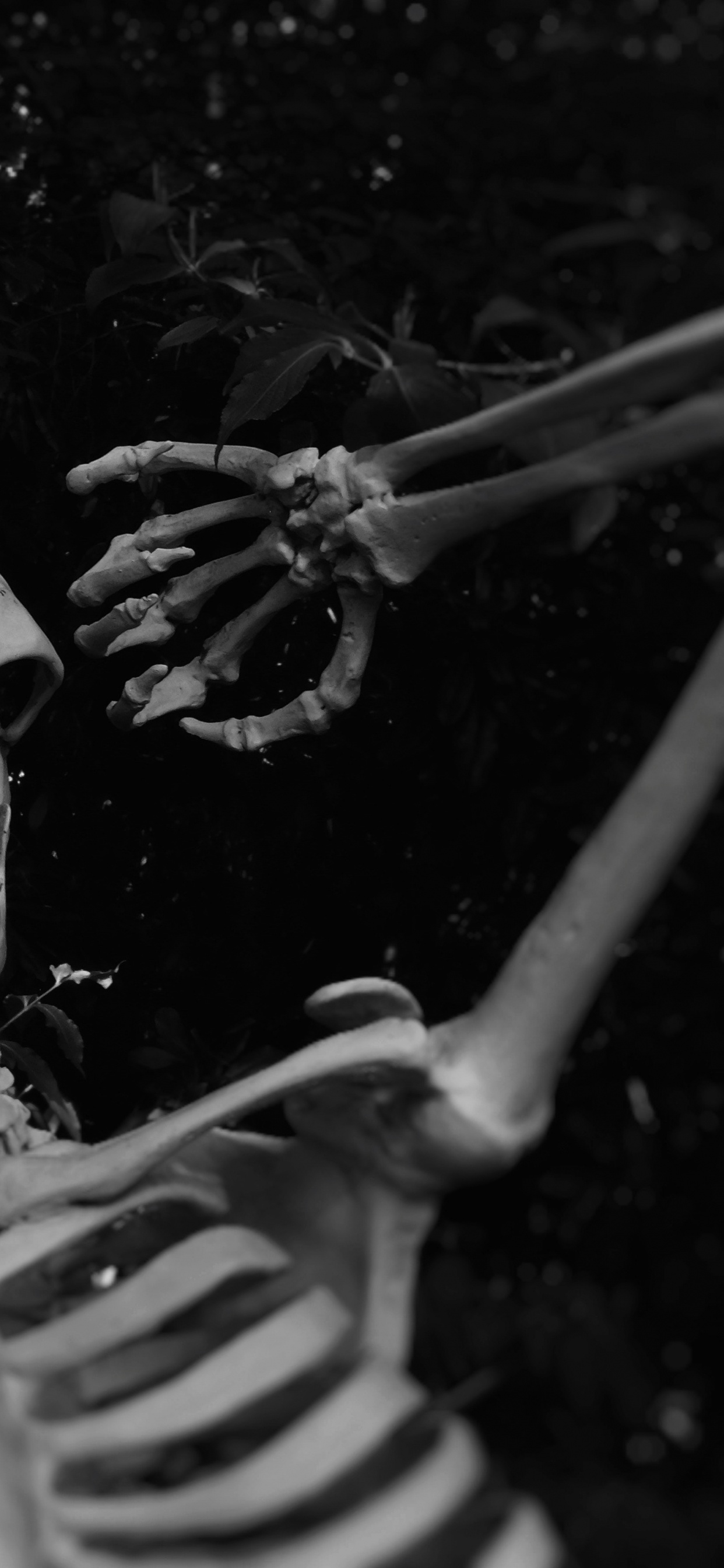 Обои скелет, вечеринка, костюм, автомобильные шины, вода в разрешении 1242x2688