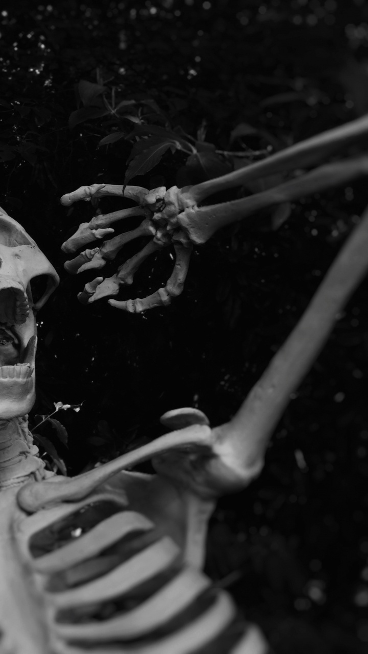 Обои скелет, вечеринка, костюм, автомобильные шины, вода в разрешении 720x1280