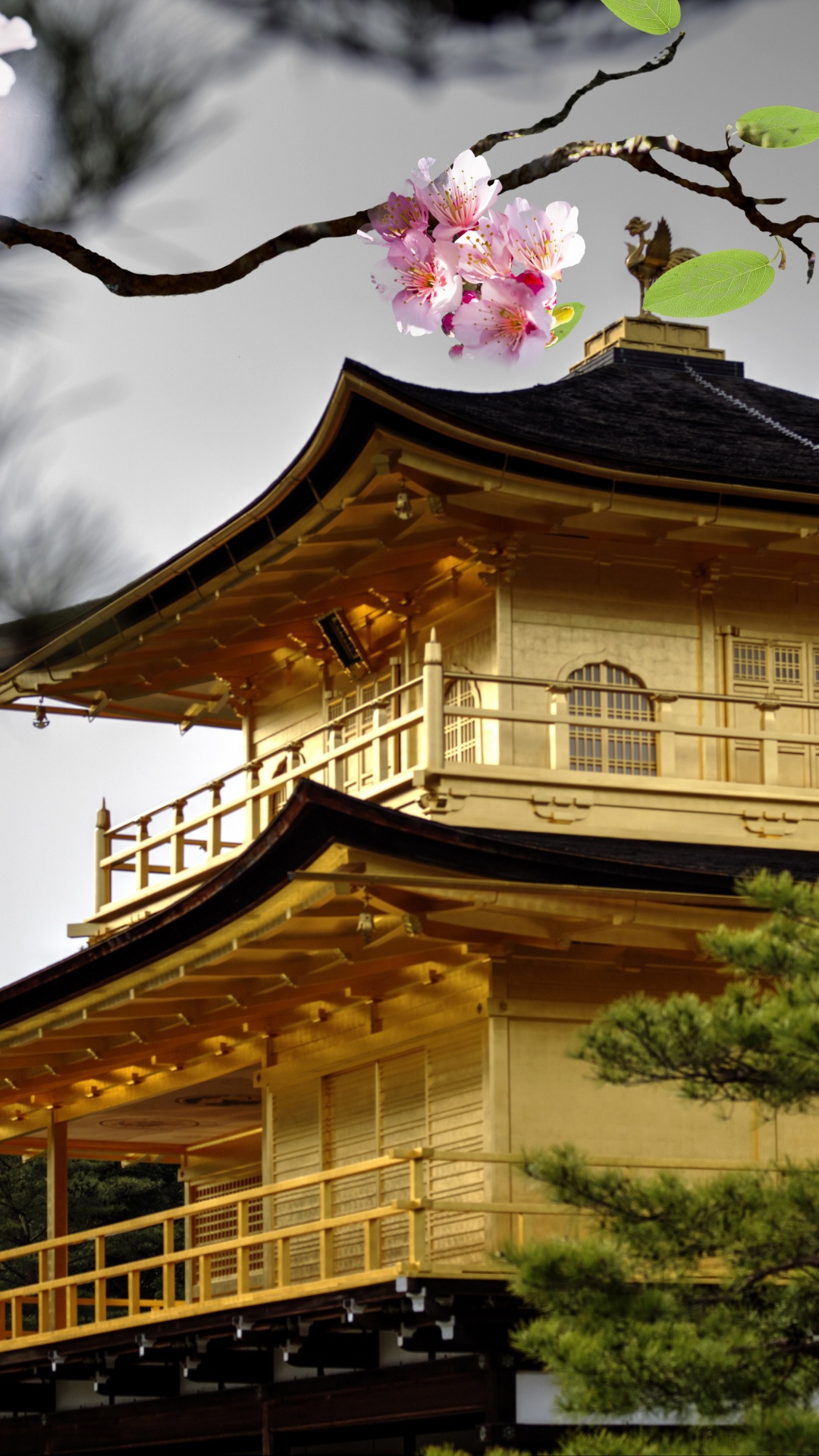 Обои цветок, Гинкаку-дзи, японская архитектура, храм, дерево в разрешении 1080x1920