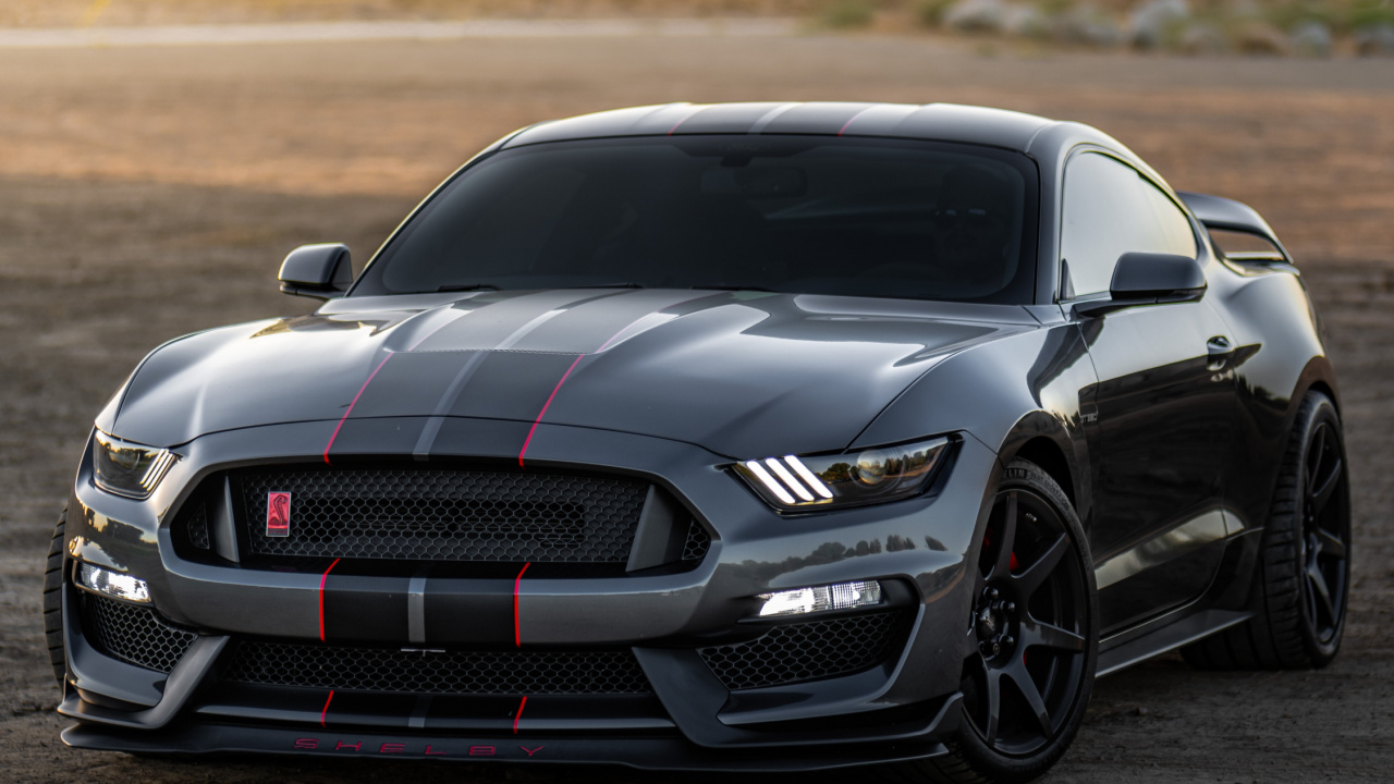 Обои Форд Мустанг Шелби GT500, ford, Шелби Мустанг, легковые автомобили, компания Ford в разрешении 1280x720