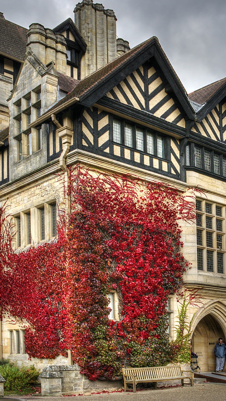 Обои дом cragside, Cragside, Лондон, Хаус, Английский загородный дом в разрешении 720x1280