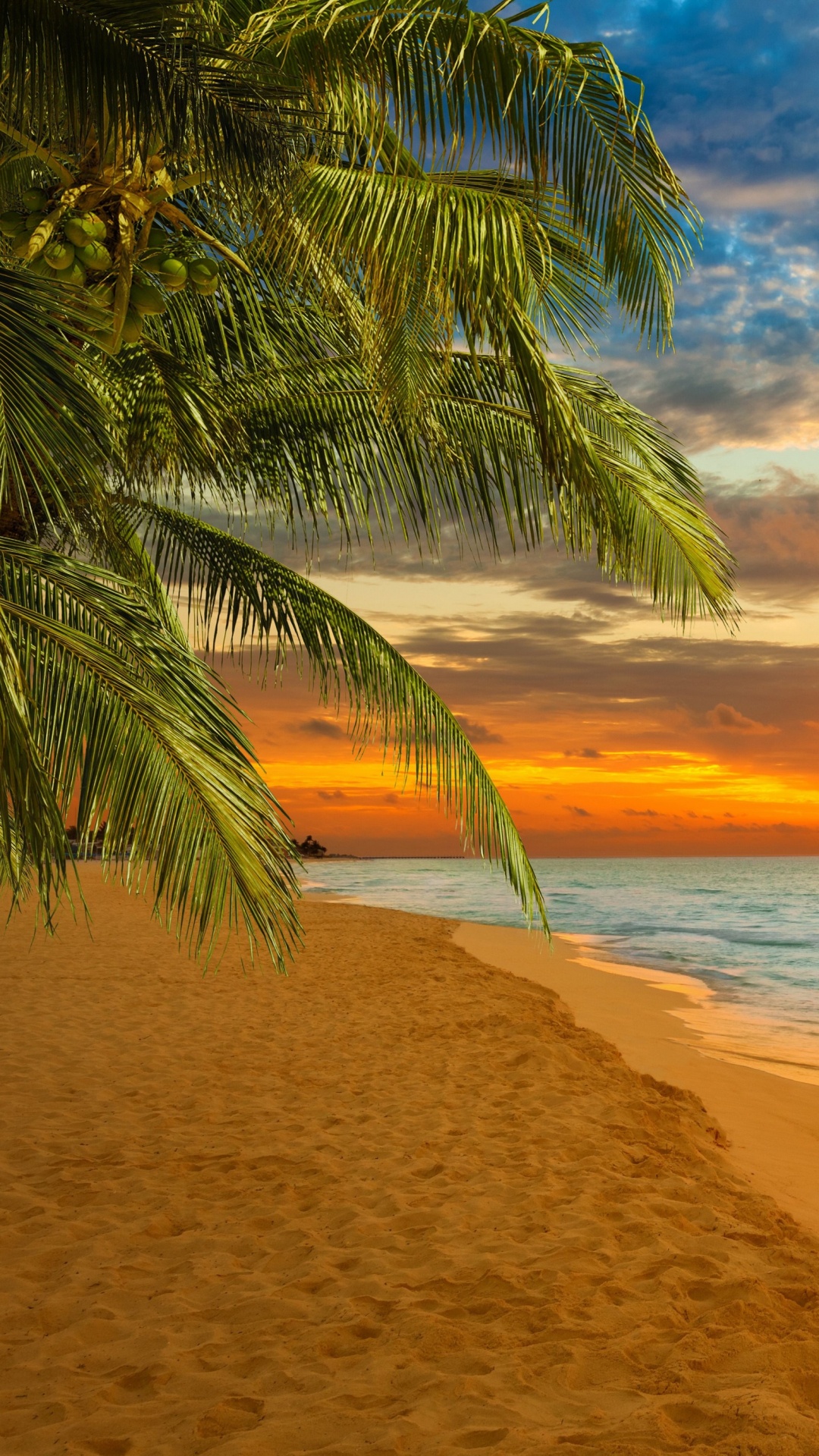 Обои пляж, горизонт, тропическая зона, море, закат в разрешении 1080x1920