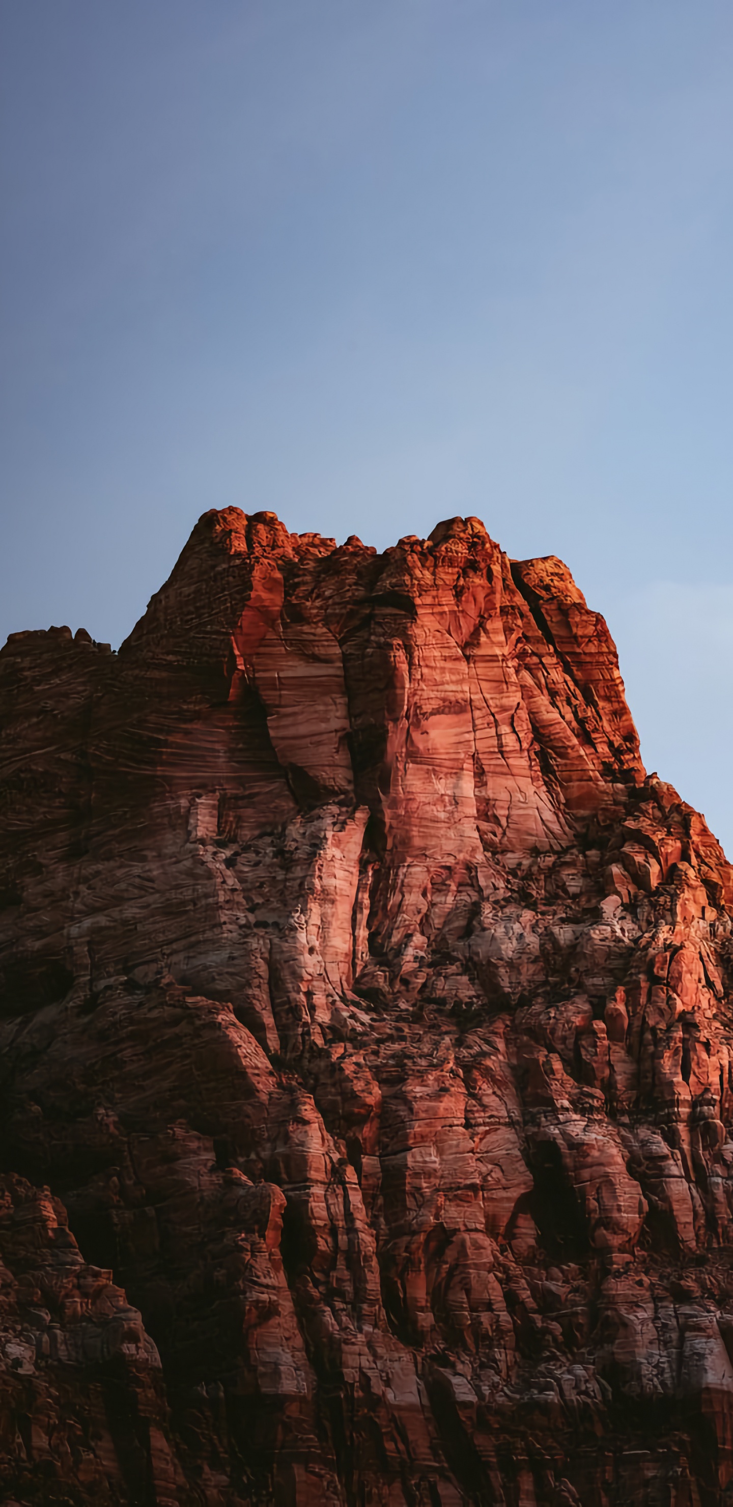 Обои облако, гора, коренная порода, природный ландшафт, дерево в разрешении 1440x2960