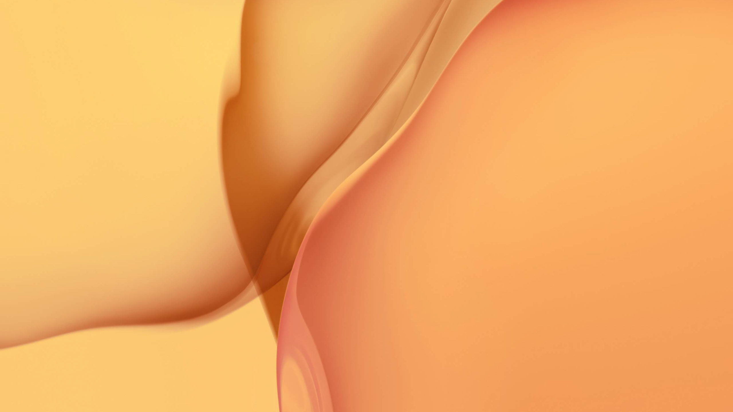 Обои Huawei, Huawei P40 Pro, huawei p40, смартфон, персик в разрешении 2560x1440