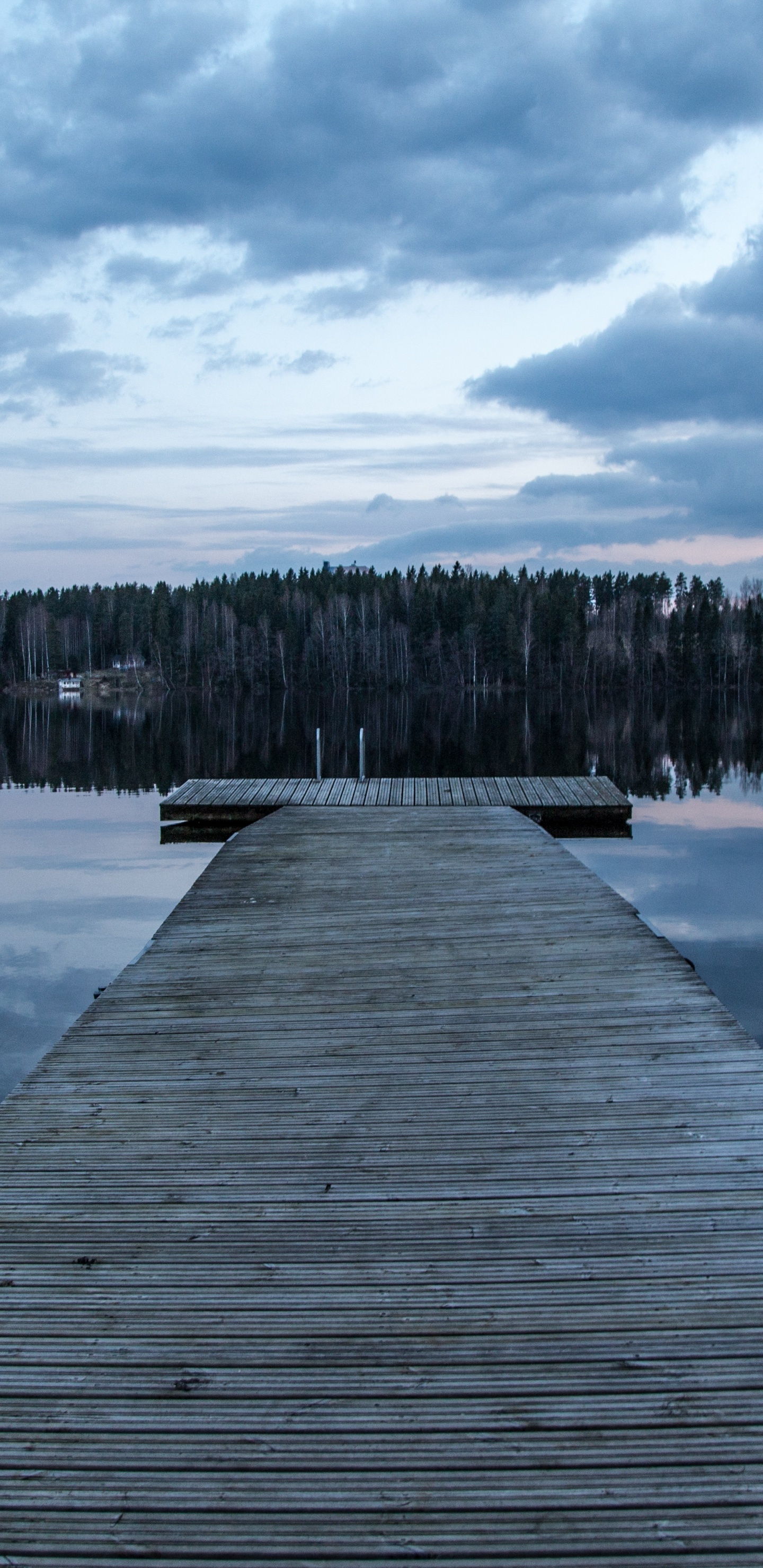 Обои док, вода, природа, облако, дерево в разрешении 1440x2960