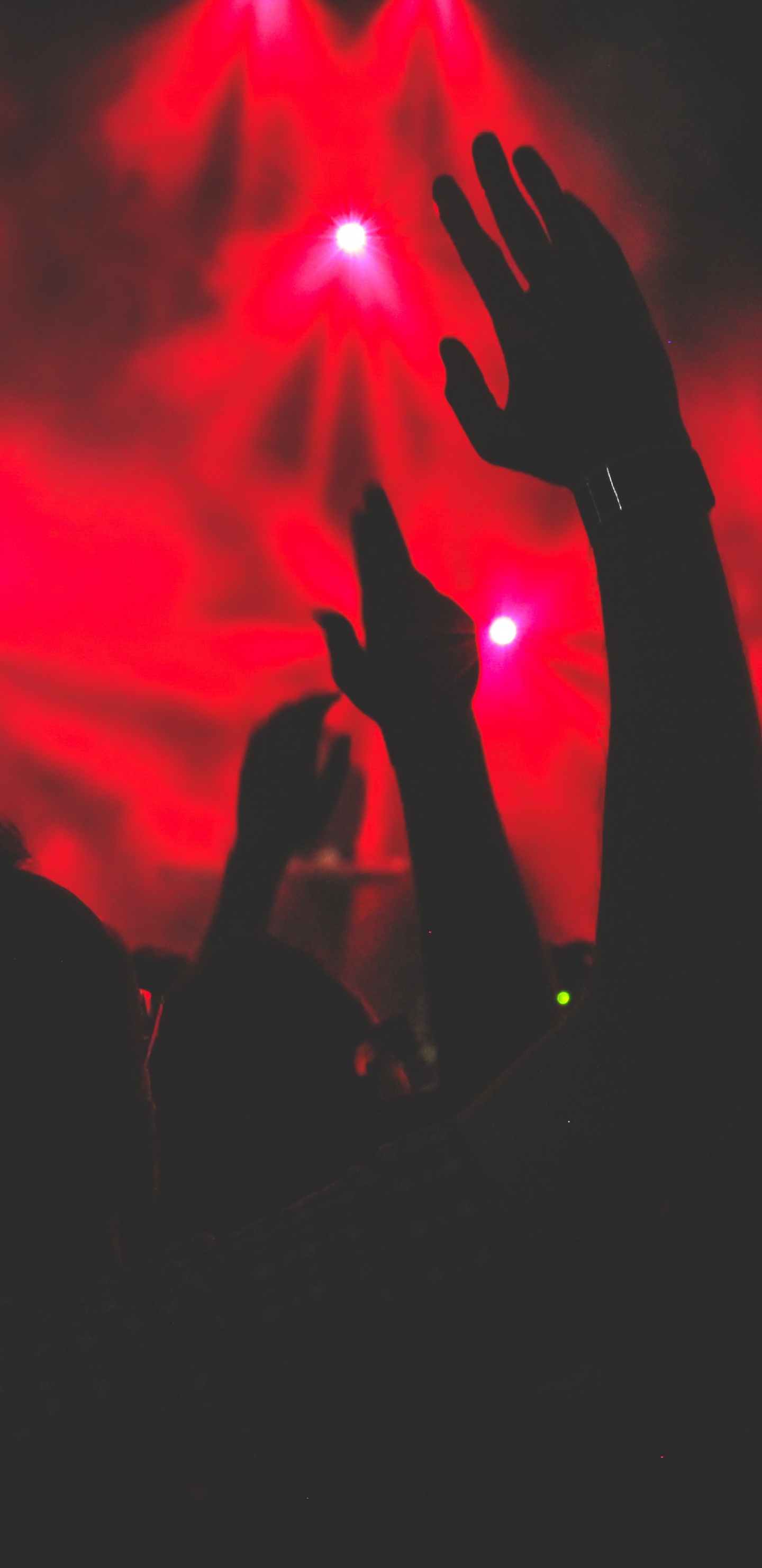 Обои концерт, развлечение, Представление, красный цвет, свет в разрешении 1440x2960