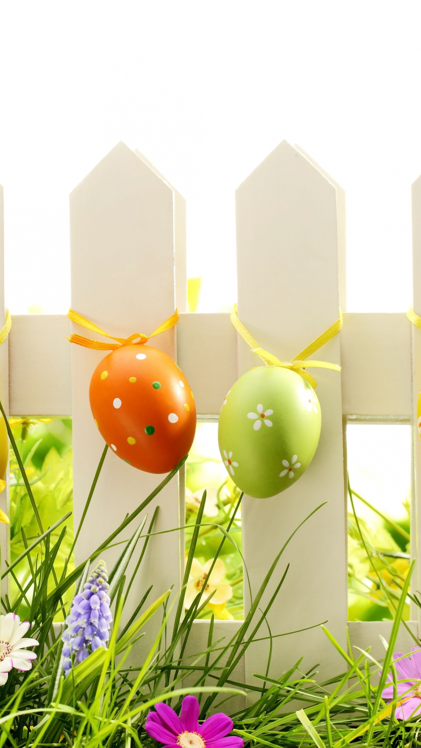 Обои пасхальное яйцо, праздник, луг, пасха, цветок в разрешении 1440x2560