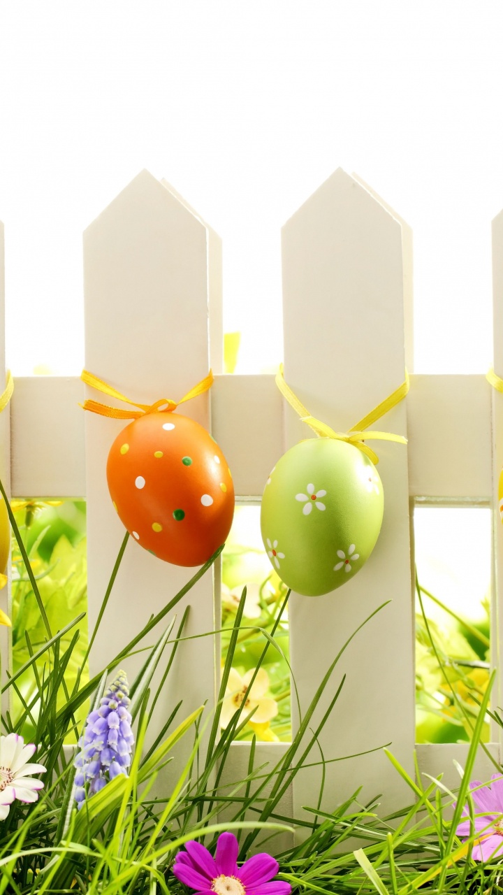 Обои пасхальное яйцо, праздник, луг, пасха, цветок в разрешении 720x1280