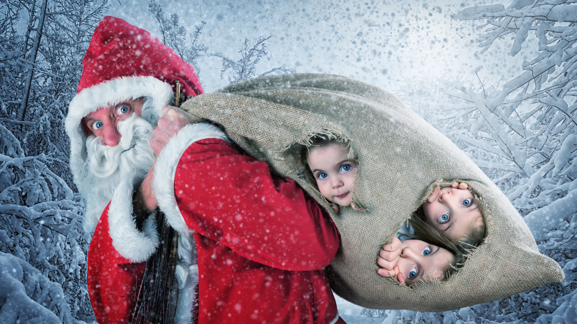 Обои снег, зима, красный цвет, замораживание, Рождество в разрешении 1920x1080