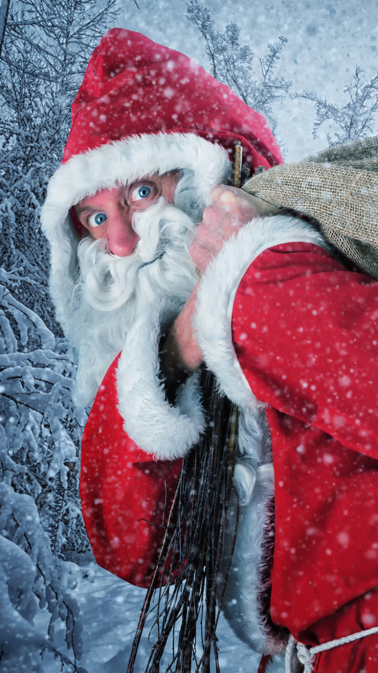 Обои снег, зима, красный цвет, замораживание, Рождество в разрешении 750x1334