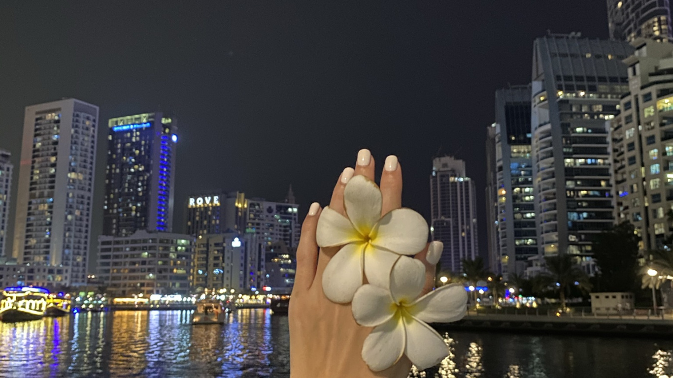 Обои отражение, небоскреб, вода, башня, ночь в разрешении 1366x768