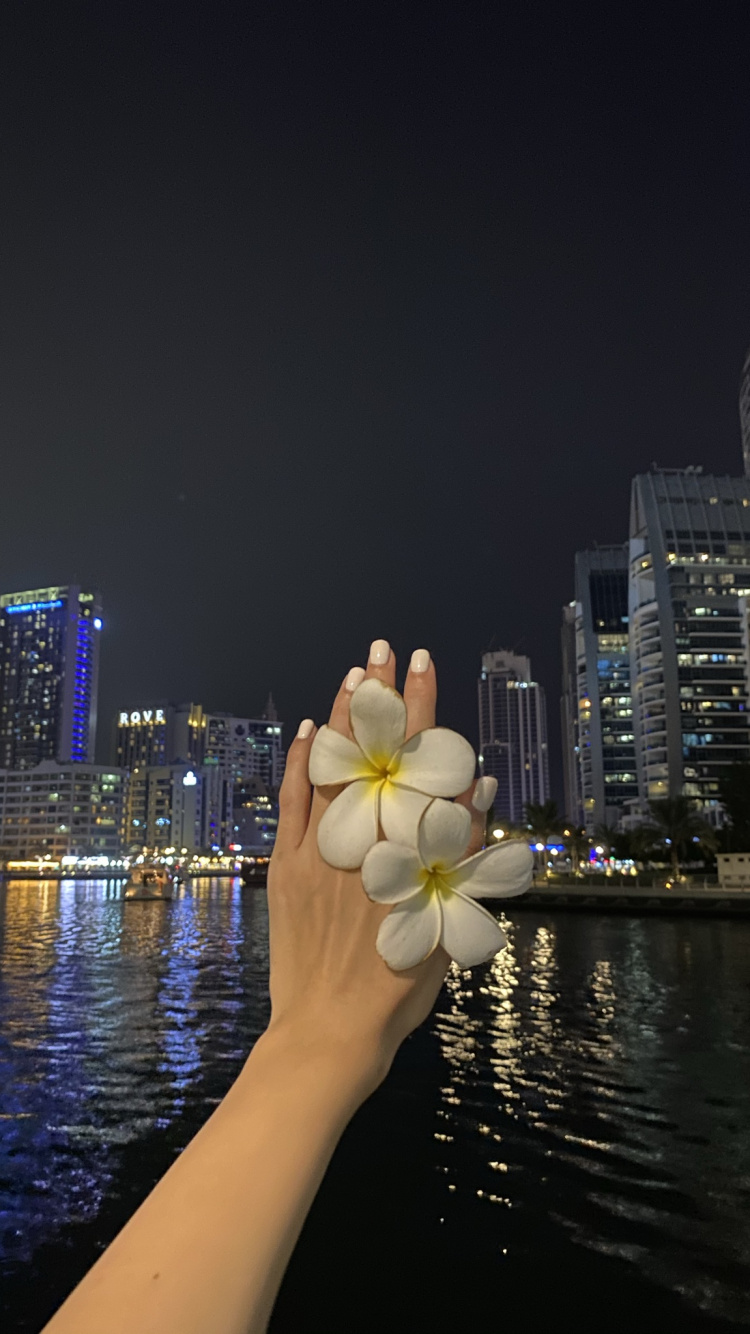 Обои отражение, небоскреб, вода, башня, ночь в разрешении 750x1334