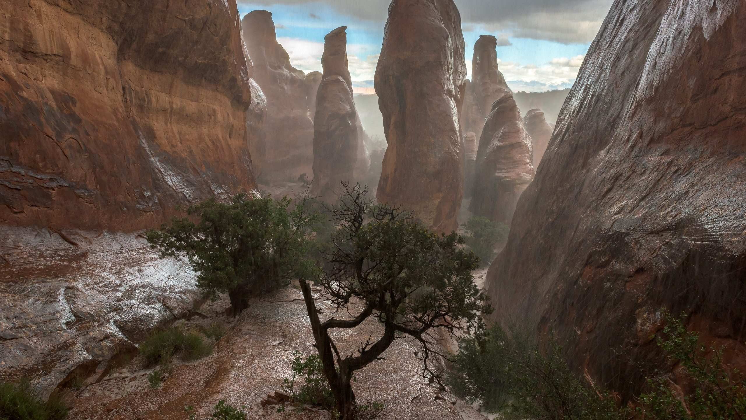 Обои национальный парк арки, национальный парк, каньон, парк, формирование в разрешении 2560x1440