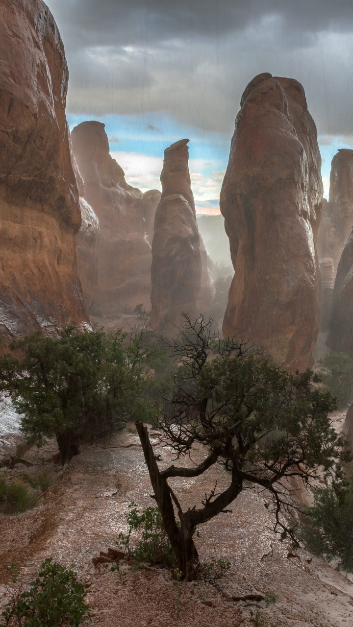 Обои национальный парк арки, национальный парк, каньон, парк, формирование в разрешении 720x1280