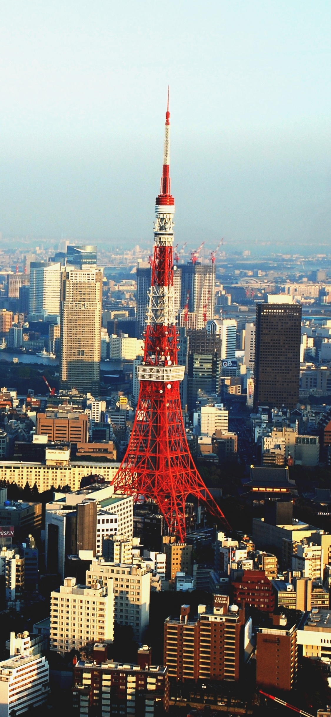 Обои токийская башня, город, городской пейзаж, городской район, метрополия в разрешении 1125x2436