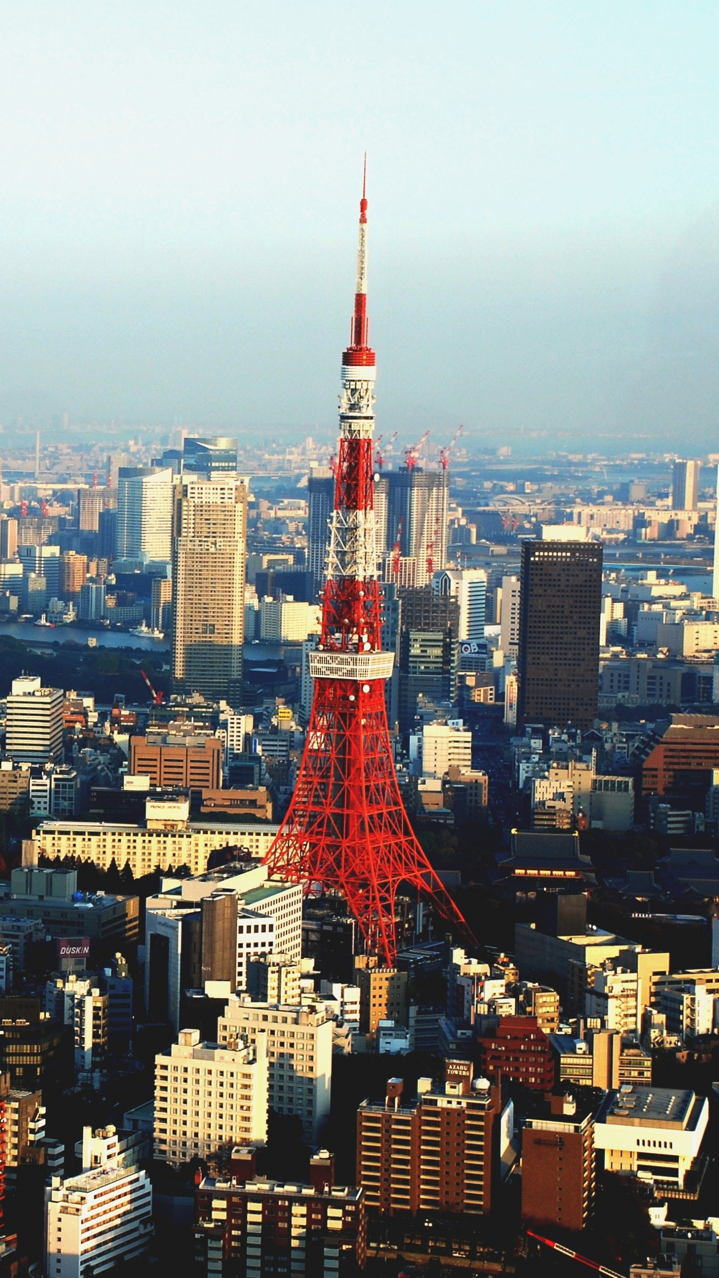 Обои токийская башня, город, городской пейзаж, городской район, метрополия в разрешении 1440x2560