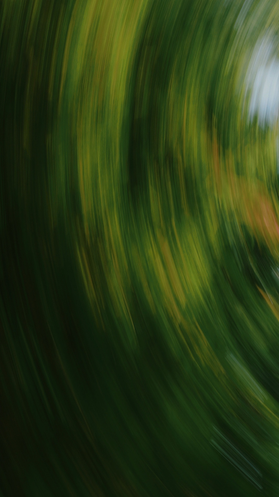 Обои лист, вода, природный ландшафт, растение, полутона и оттенки в разрешении 1080x1920