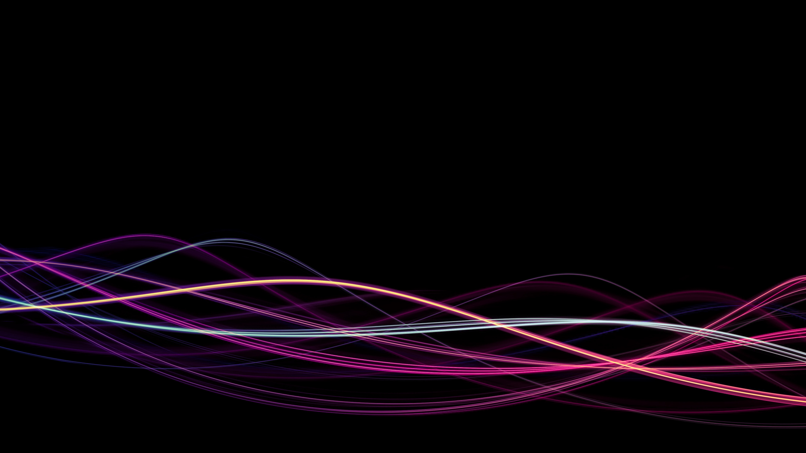 Обои свет, черный, пурпур, розовый, Фиолетовый в разрешении 2560x1440