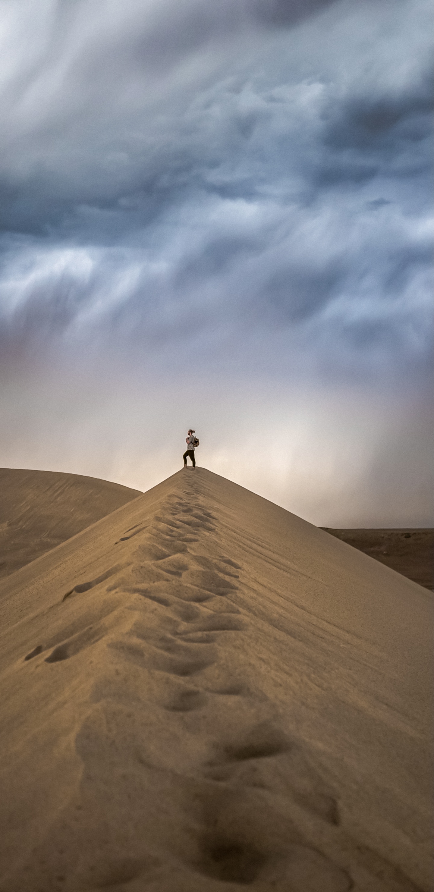 Обои облако, макарон, склон, местность, дерево в разрешении 1440x2960