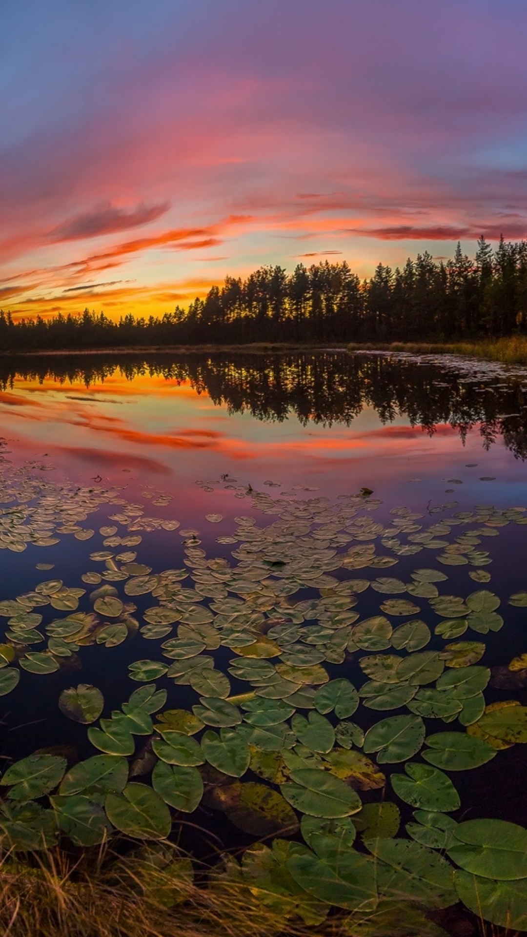 Обои озеро, природа, отражение, вода, дикая местность в разрешении 1080x1920