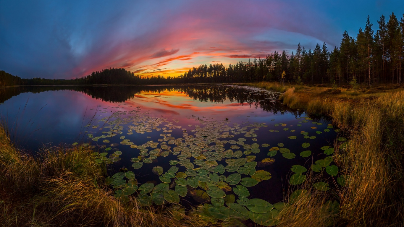 Обои озеро, природа, отражение, вода, дикая местность в разрешении 1366x768