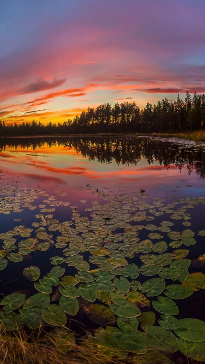 Обои озеро, природа, отражение, вода, дикая местность в разрешении 720x1280