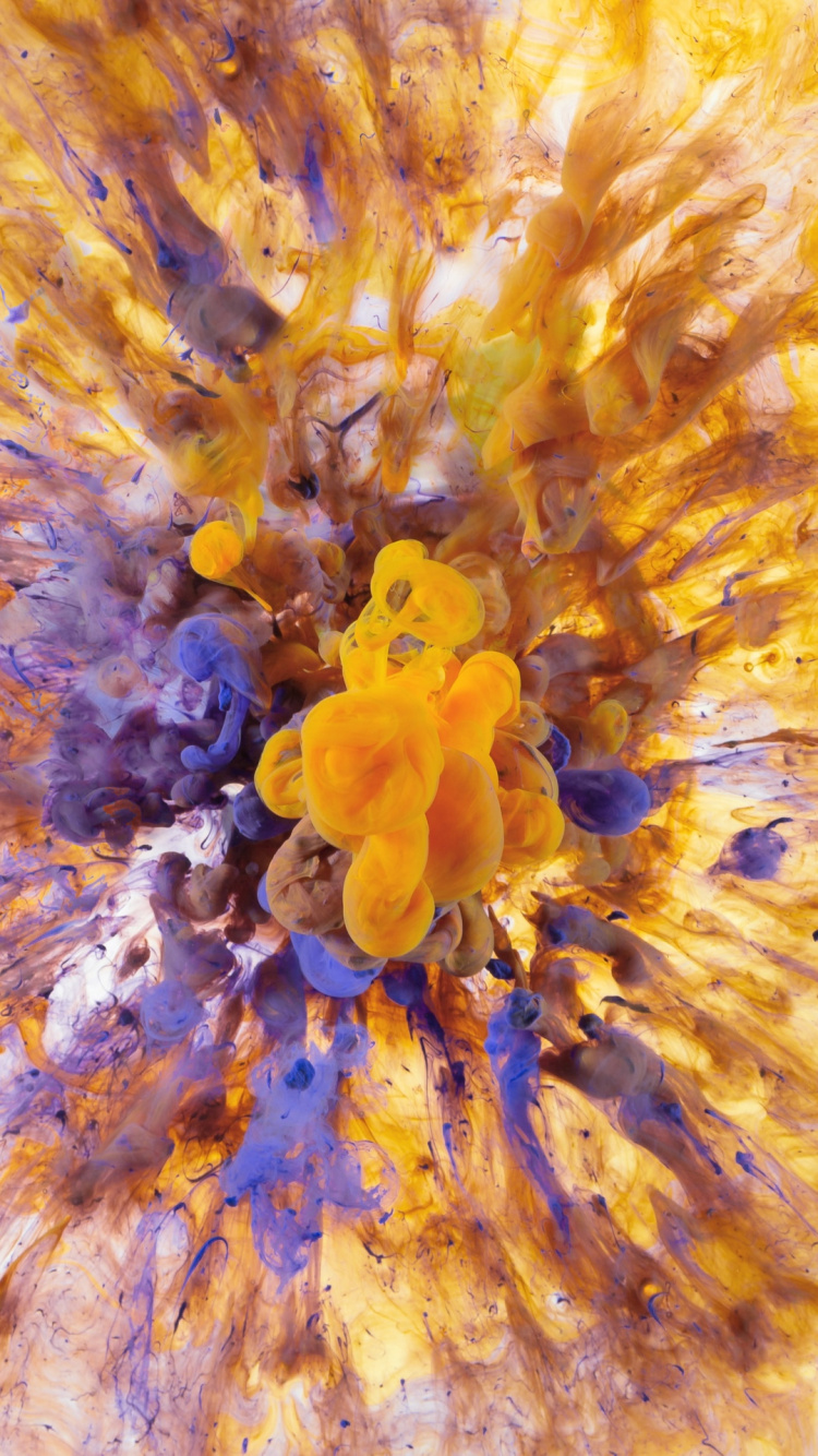 Обои морская биология, Dell Precision 15 6 дюймов, dell, планшет, Интел в разрешении 750x1334