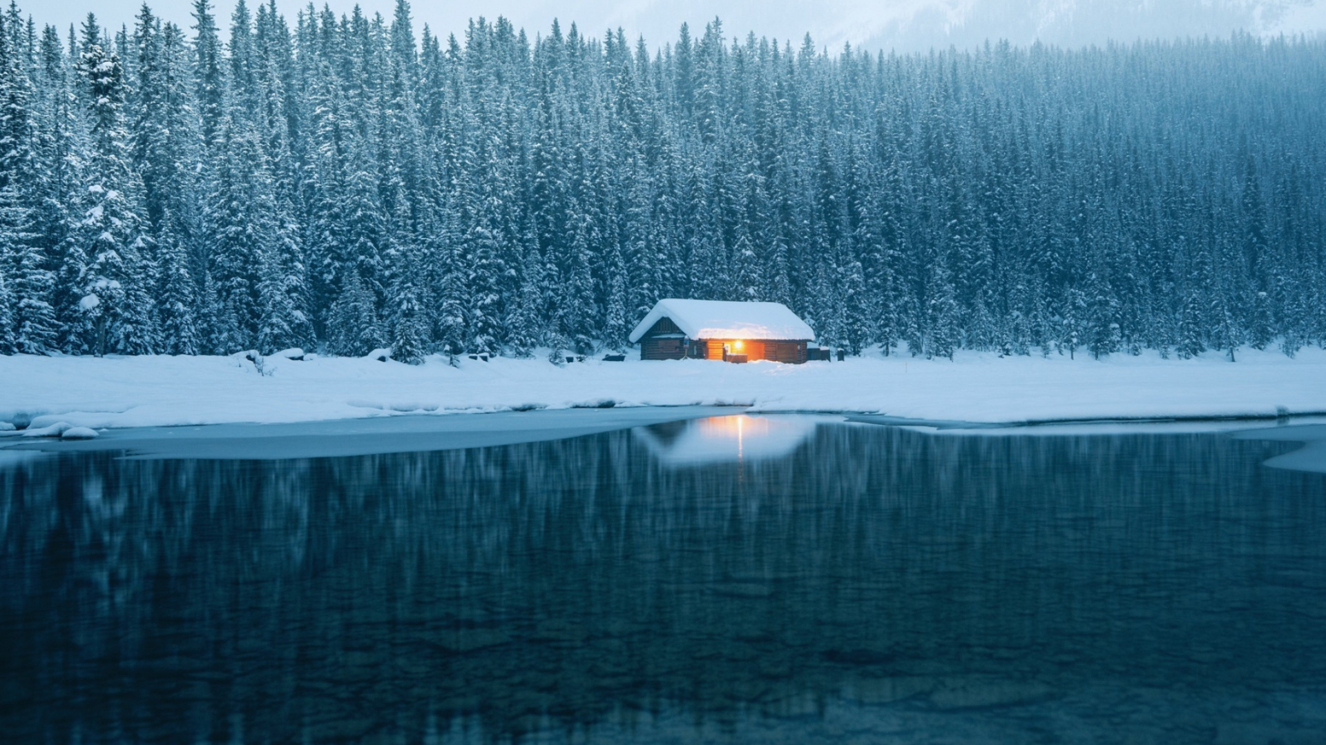 Обои снег, природа, вода, замораживание, дерево в разрешении 1920x1080