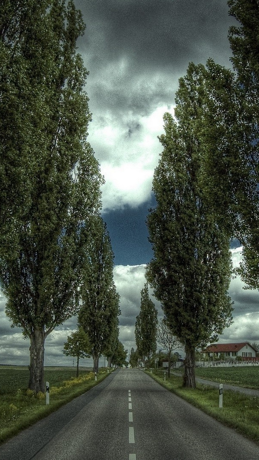 Обои прямая дорога, дорога, дерево, природа, облако в разрешении 1080x1920