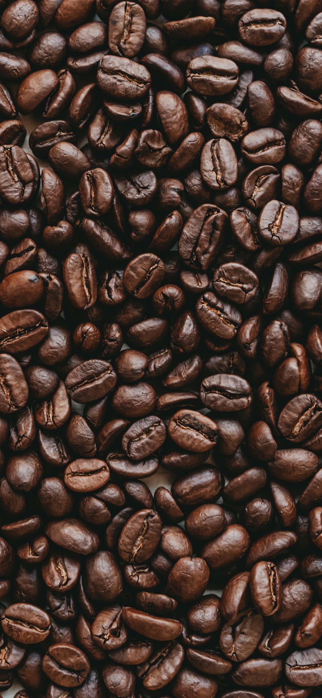 Обои боб, кофеин, коричневый цвет, Одного происхождения кофе, ямайский кофе Блю Маунтин в разрешении 1125x2436