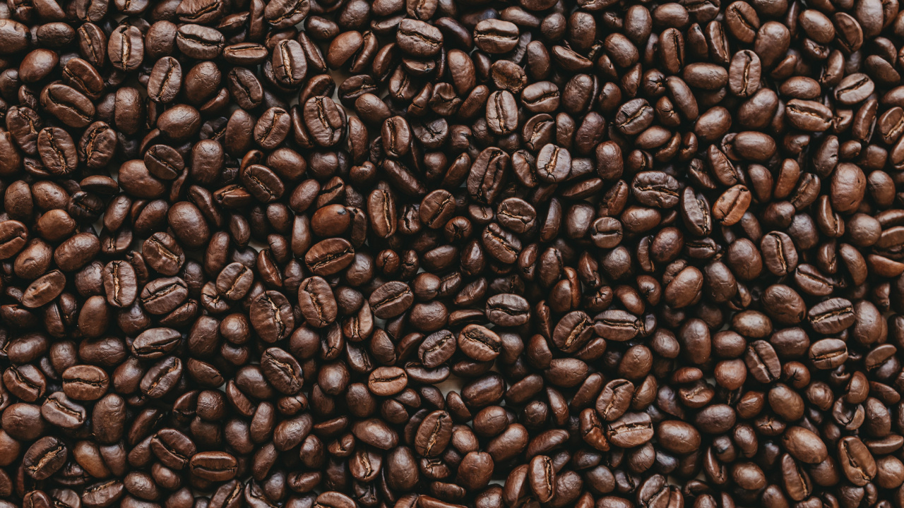 Обои боб, кофеин, коричневый цвет, Одного происхождения кофе, ямайский кофе Блю Маунтин в разрешении 1280x720