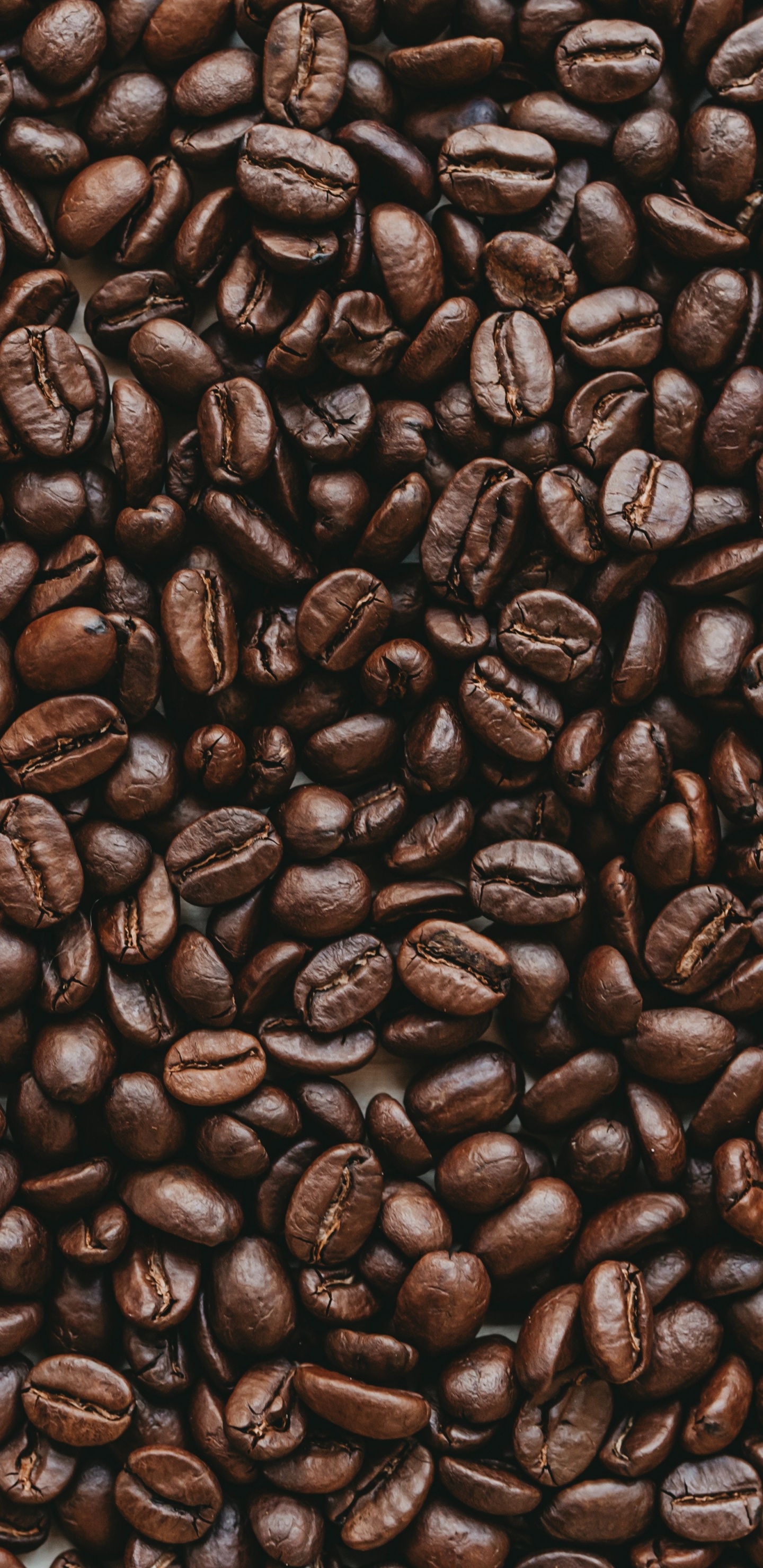Обои боб, кофеин, коричневый цвет, Одного происхождения кофе, ямайский кофе Блю Маунтин в разрешении 1440x2960