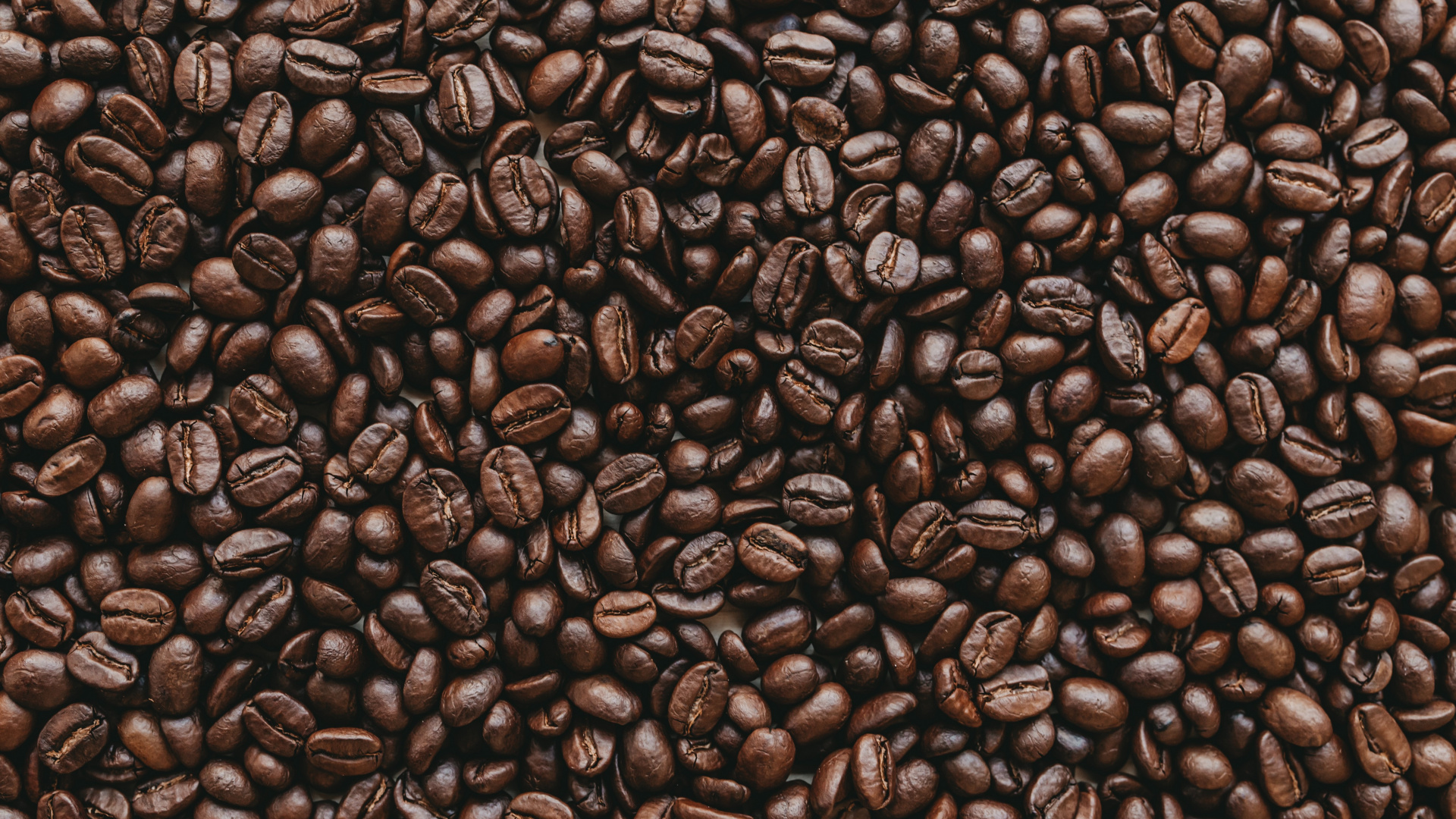 Обои боб, кофеин, коричневый цвет, Одного происхождения кофе, ямайский кофе Блю Маунтин в разрешении 1920x1080