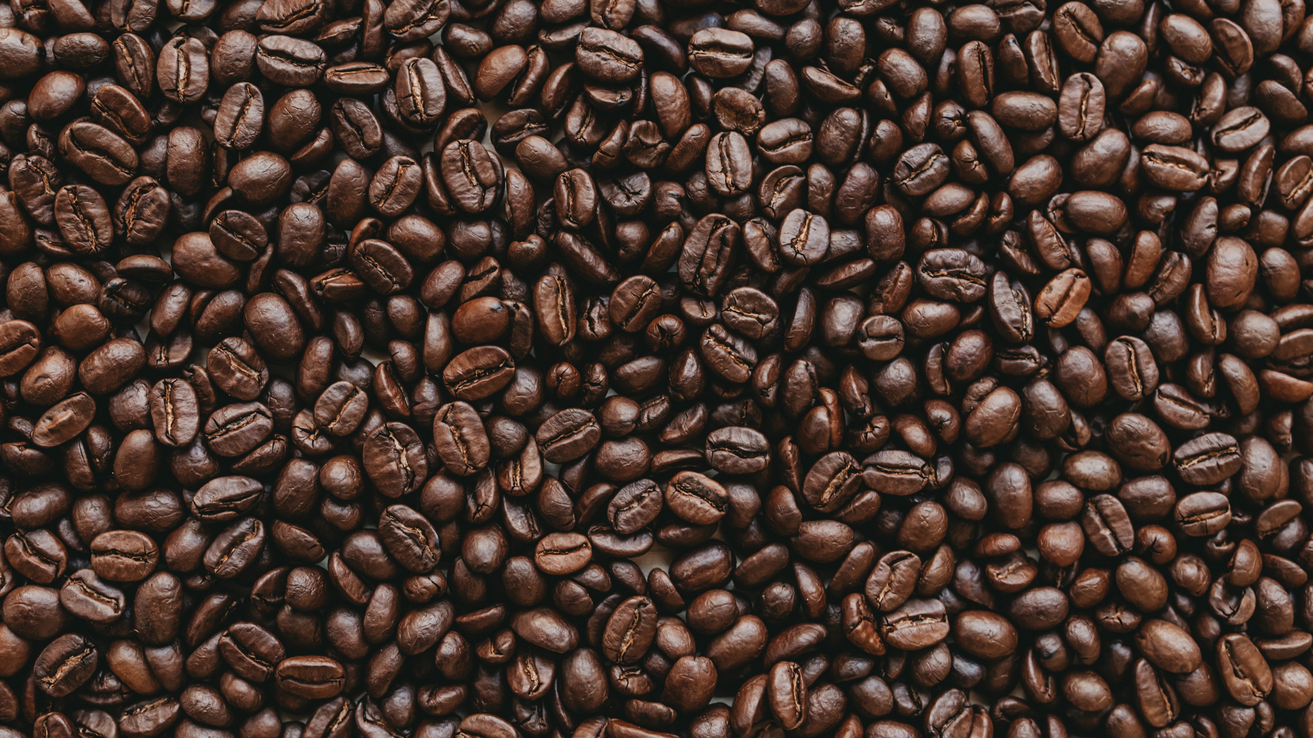 Обои боб, кофеин, коричневый цвет, Одного происхождения кофе, ямайский кофе Блю Маунтин в разрешении 2560x1440