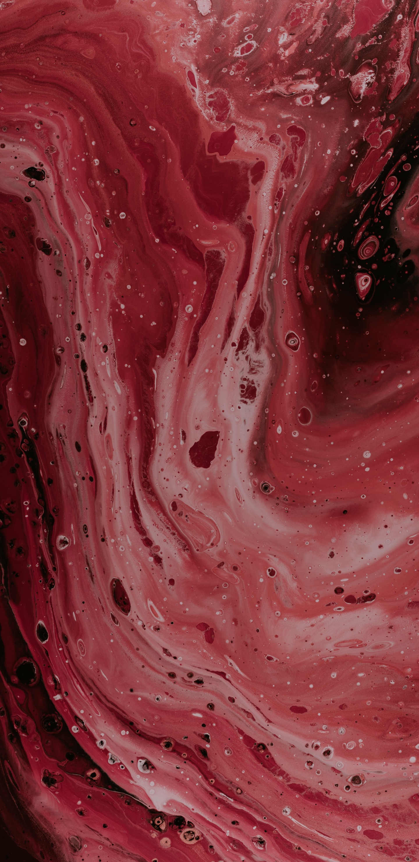 Обои текстура, красный цвет, розовый, бордовые, пурпурный цвет в разрешении 1440x2960