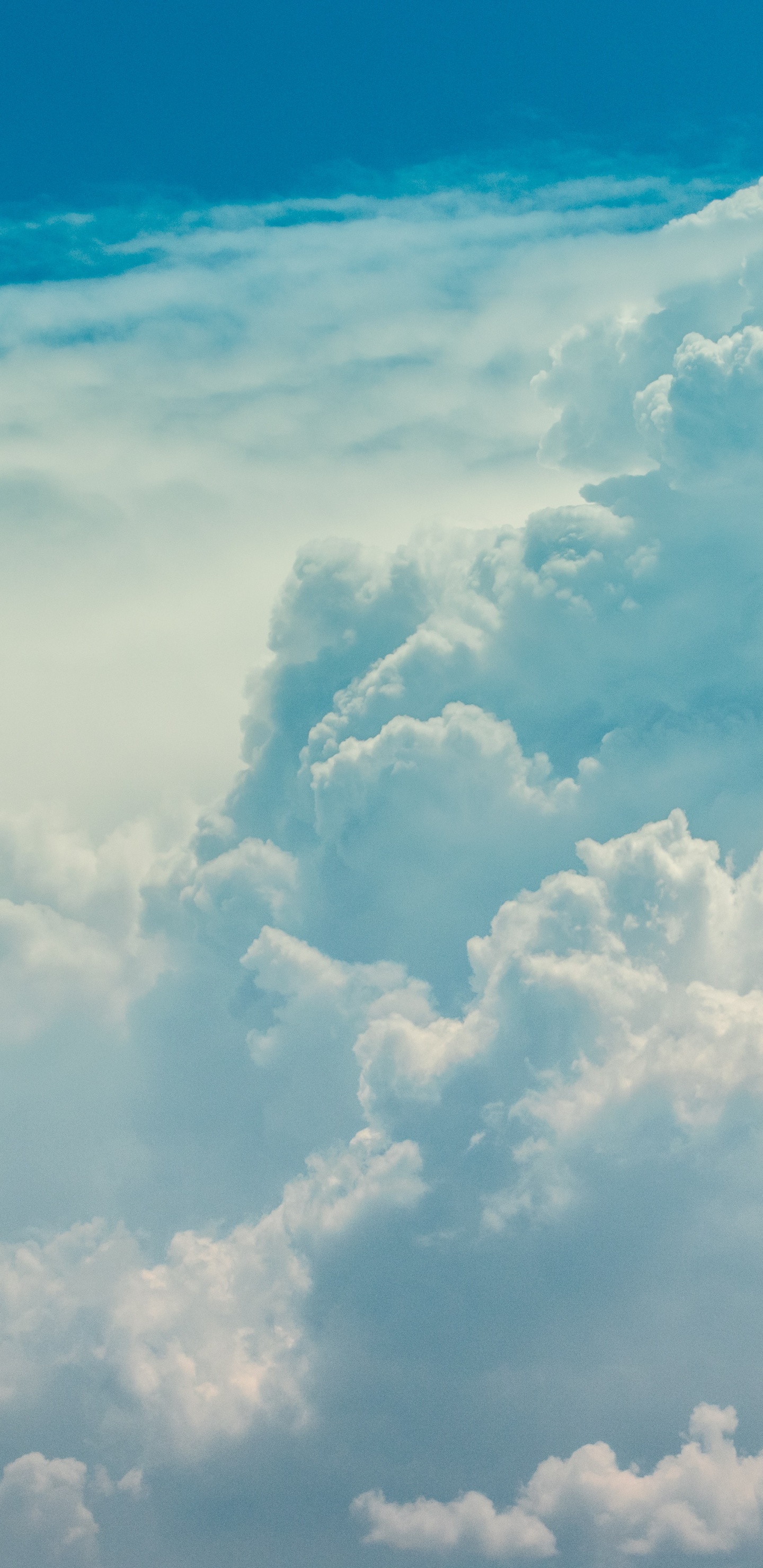 Обои облако, дневное время, синий, кучевое облако, атмосфера в разрешении 1440x2960