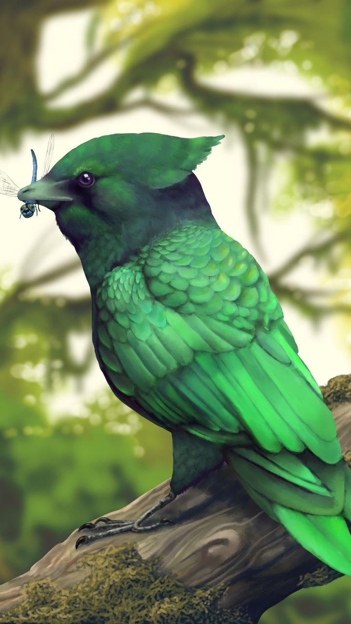 Обои Enantiornithes, динозавр, птица, зеленый, клюв в разрешении 720x1280