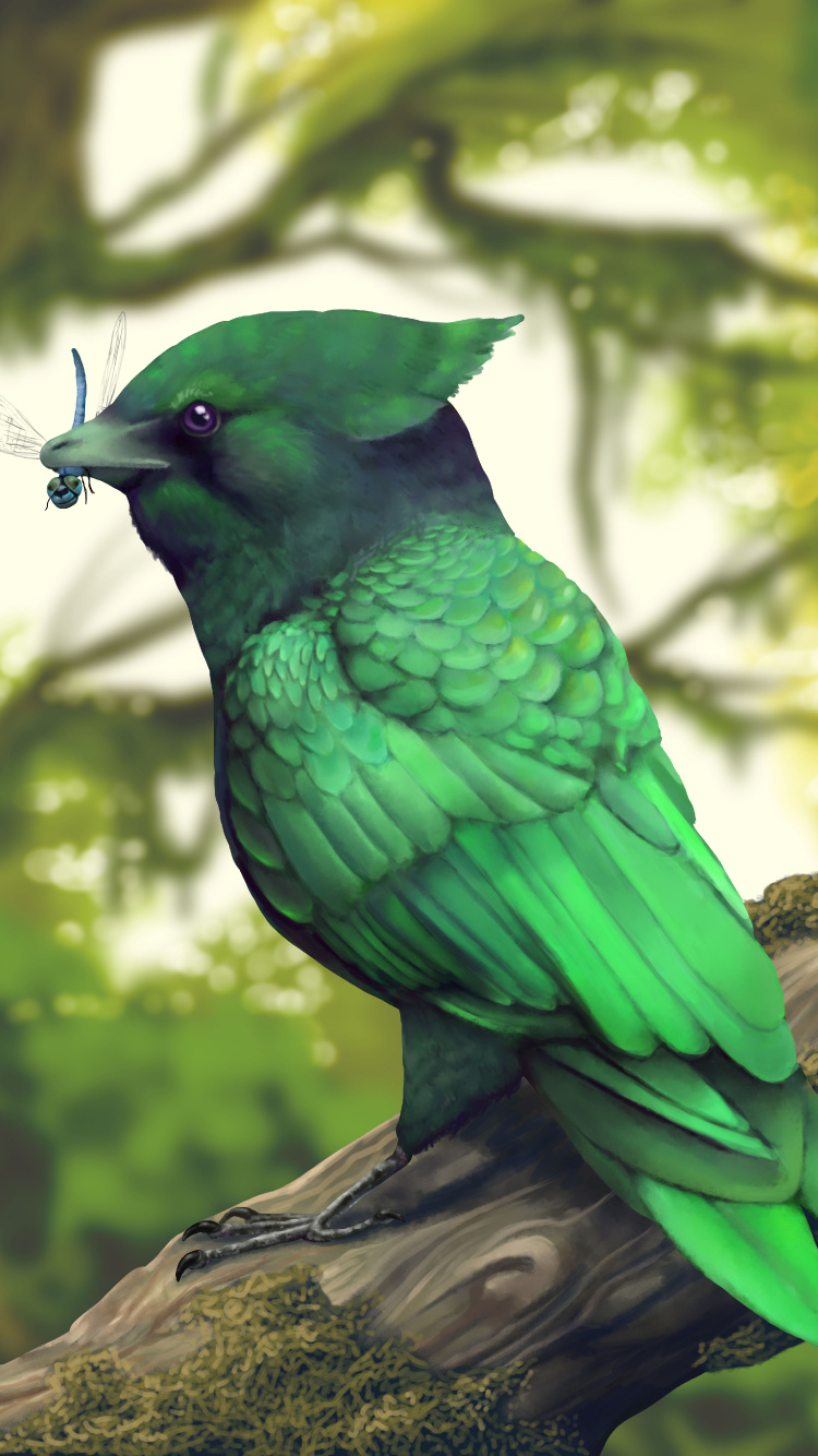 Обои Enantiornithes, динозавр, птица, зеленый, клюв в разрешении 750x1334