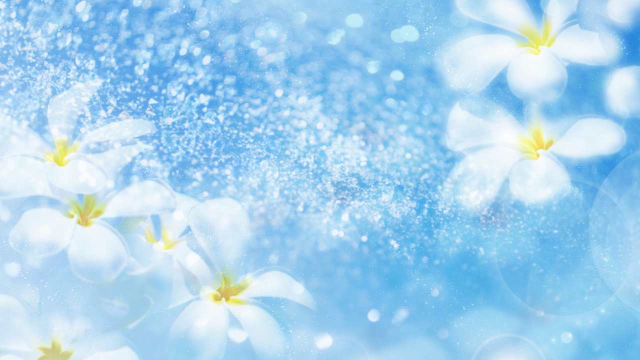 Обои синий, дневное время, цветок, весна, лепесток в разрешении 1280x720