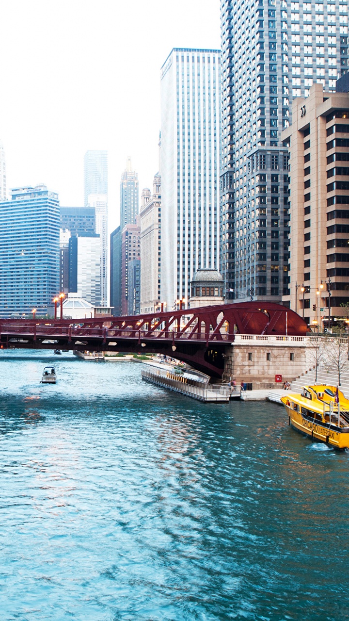 Обои Чикаго, город, городской район, метрополия, водный путь в разрешении 720x1280