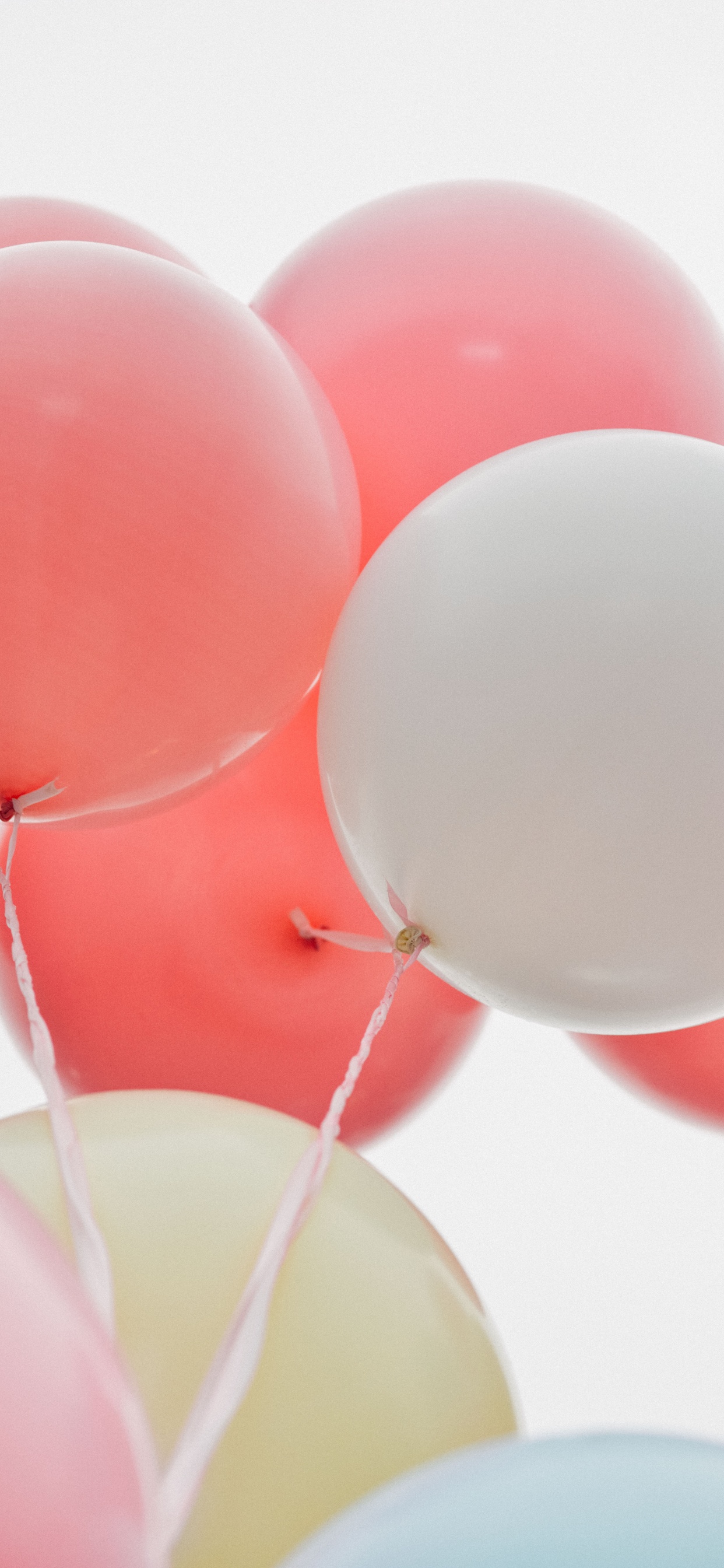 Обои воздушный шарик, дата рождения, розовый, поставкы партии, Обердорф Чуби в разрешении 1242x2688