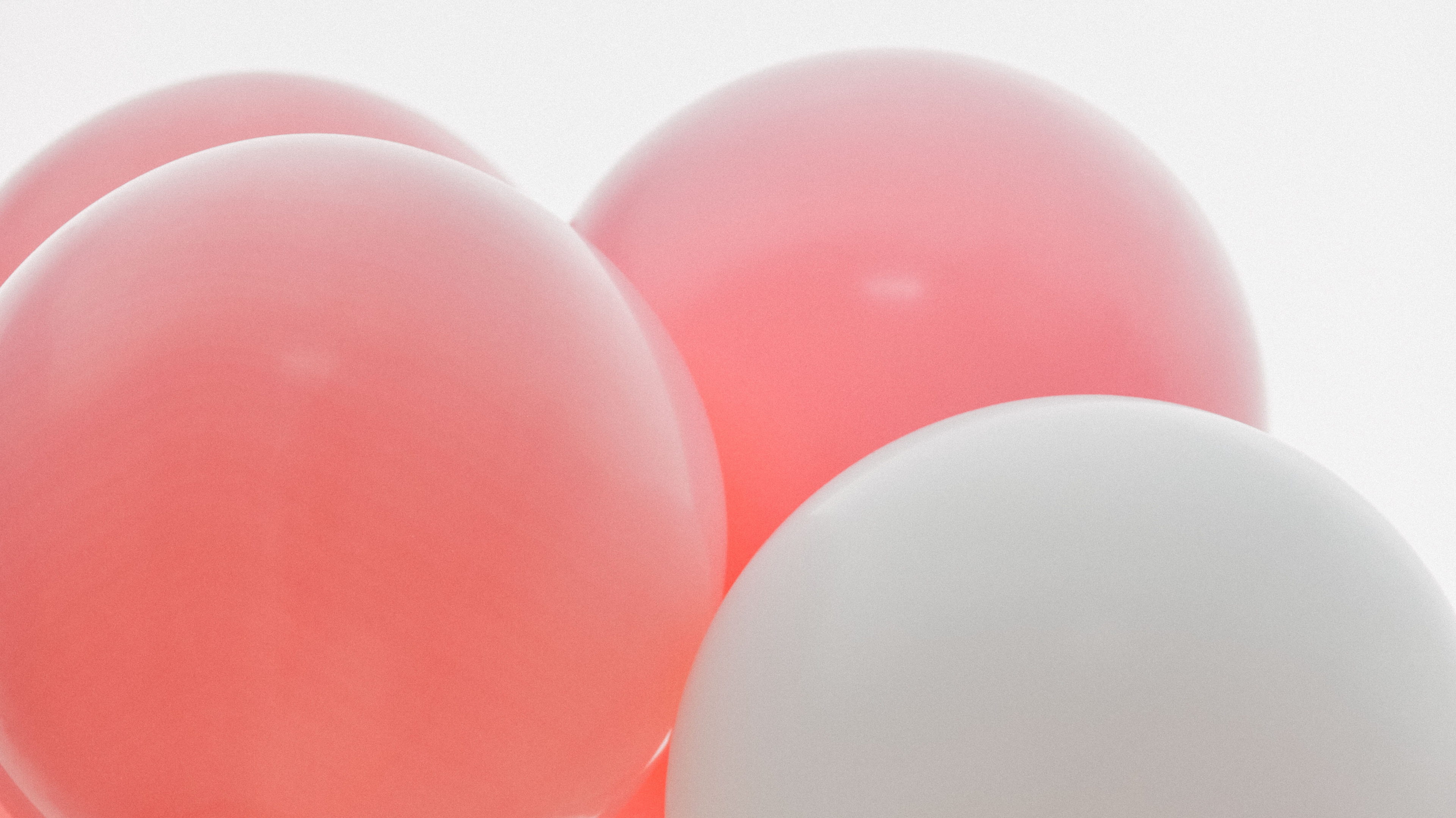 Обои воздушный шарик, дата рождения, розовый, поставкы партии, Обердорф Чуби в разрешении 3840x2160