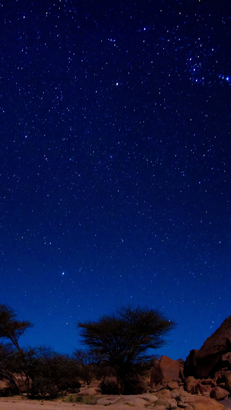 Обои Пустыня Алжира, пустыня, звезда, ночное небо, ночь в разрешении 750x1334