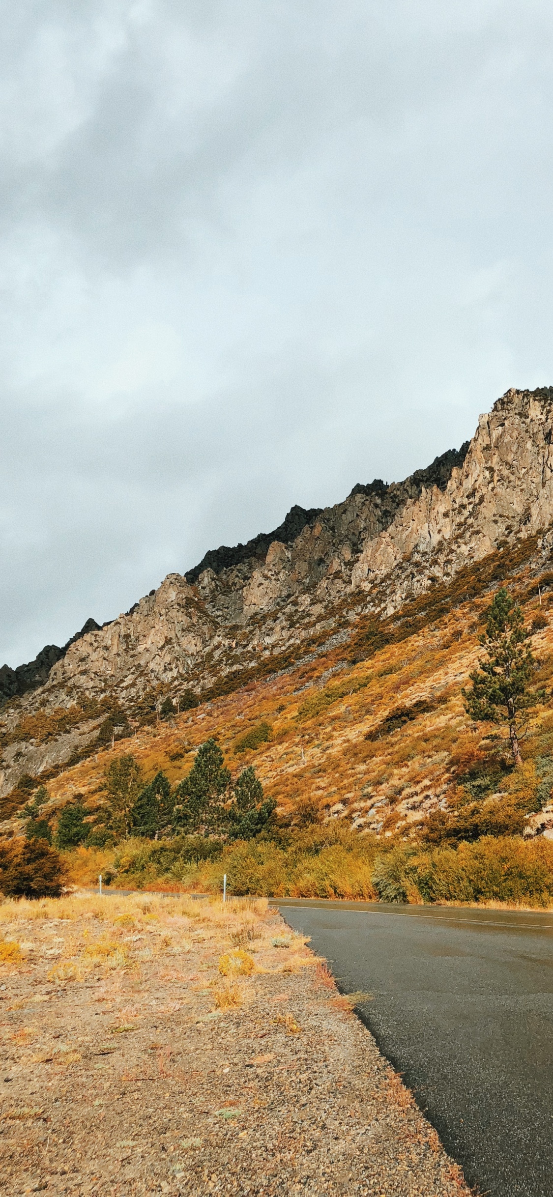 Обои дорога, горный рельеф, нагорье, дорожное покрытие, склон в разрешении 1125x2436