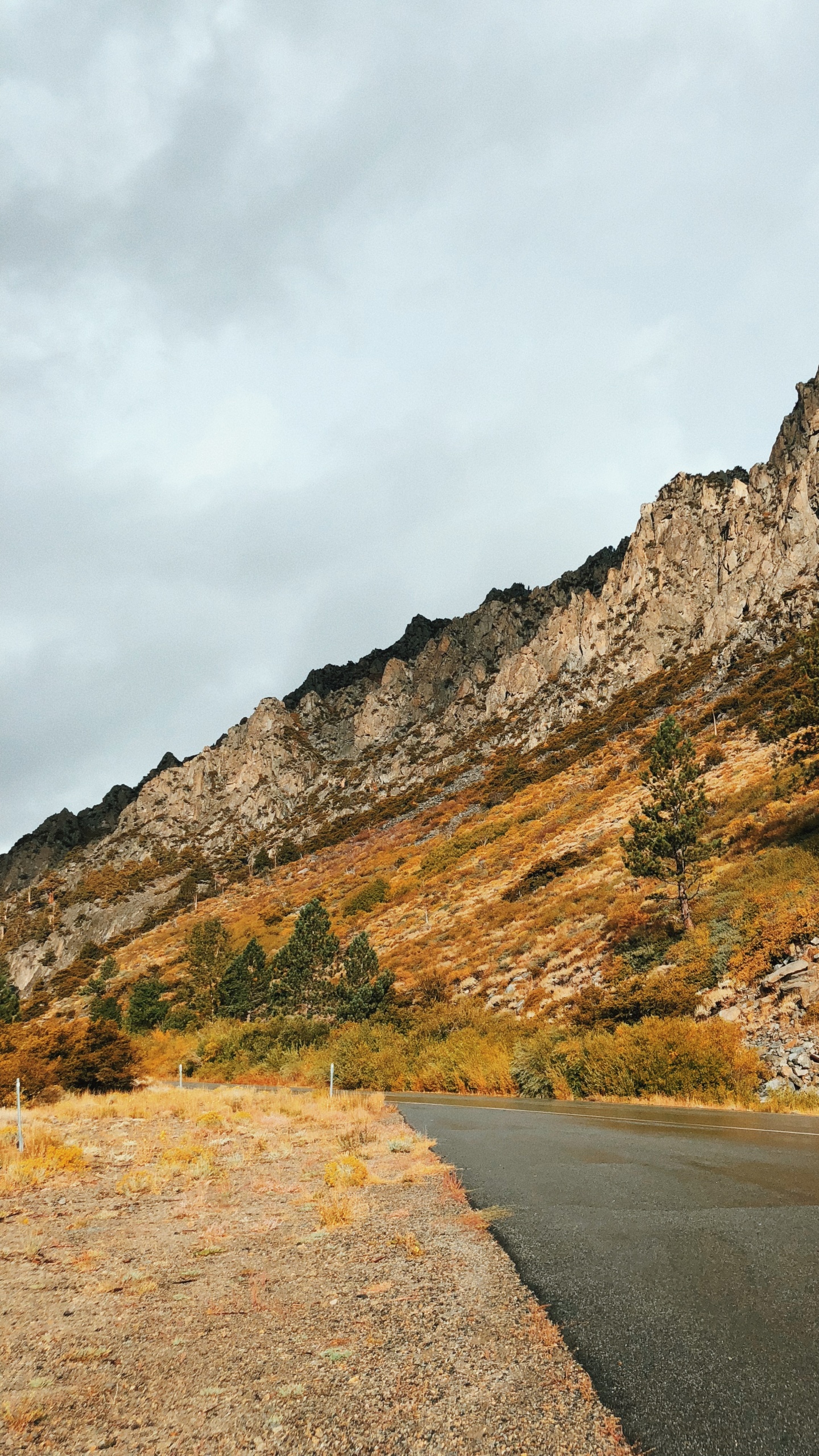 Обои дорога, горный рельеф, нагорье, дорожное покрытие, склон в разрешении 1440x2560