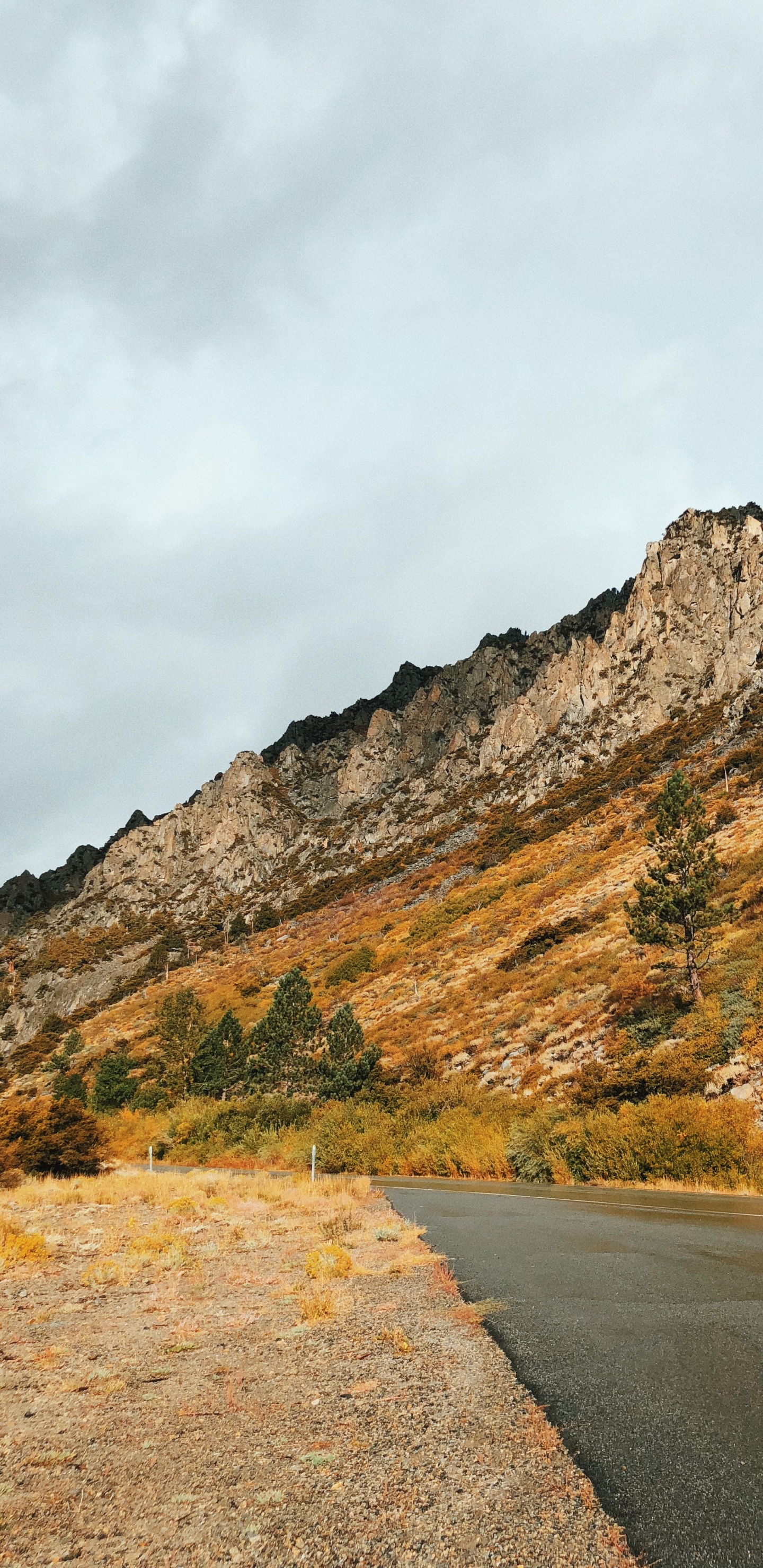 Обои дорога, горный рельеф, нагорье, дорожное покрытие, склон в разрешении 1440x2960